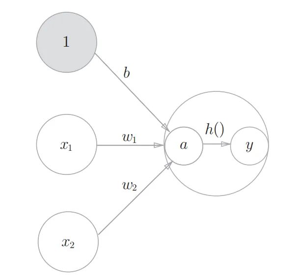 完善的单层感知机网络图