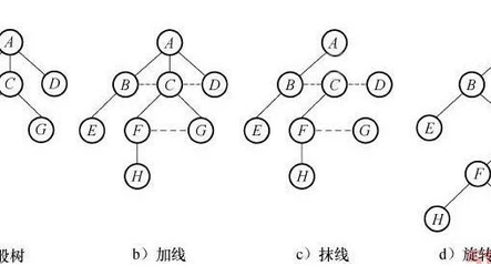数据结构-期末复习